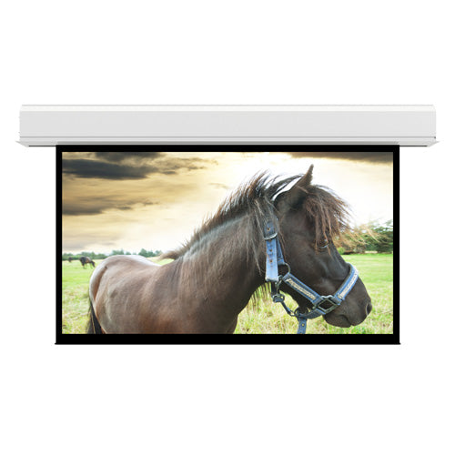 Da-Lite 36980L - Large Advantage Electrol, 106" x 188" (216" Diagonal), HDTV (16:9), Matte White