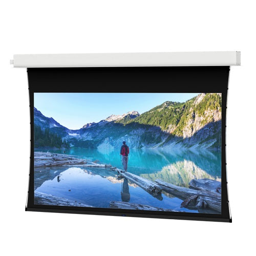 Da-Lite 14776EBL - Tensioned Advantage, Wide (16:10), 120" x 192" (226" Diagonal), Parallax Stratos 1.0, Black Drop, Slot, 220V (50Hz), Low Voltage Control (LVC), Case Only