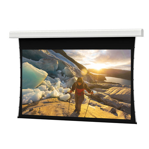Da-Lite 70232 - Tensioned Large Advantage Deluxe Electrol, 110" x 176" (208" Diagonal), Wide (16:10), Dual Vision